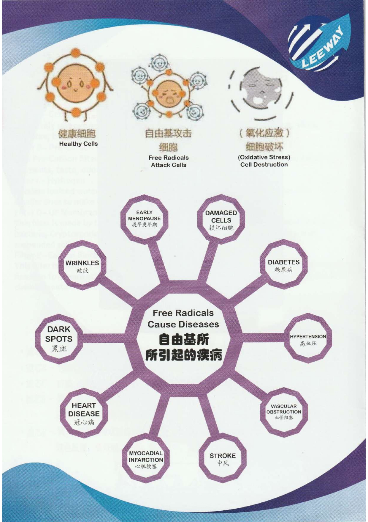 Le Fresh Hydrogen Water System